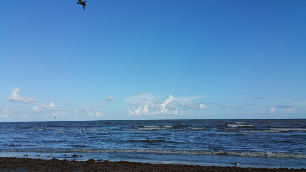 Private Beach -- Away From The Crowds - Ocean Views -Short Drive To Moody Gardens, Schlitter Bahn, Pleasure Pier Galveston Esterno foto