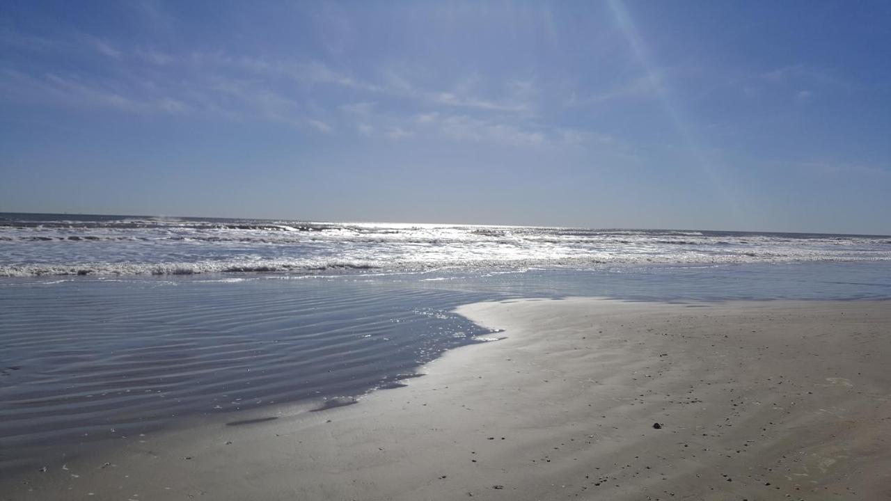 Private Beach -- Away From The Crowds - Ocean Views -Short Drive To Moody Gardens, Schlitter Bahn, Pleasure Pier Galveston Esterno foto